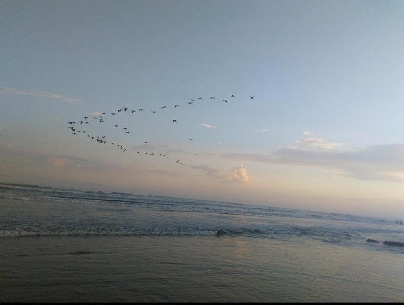 Apartamento Beira Mar Centro Da Cidade Wifi Gratis Mongaguá Dış mekan fotoğraf